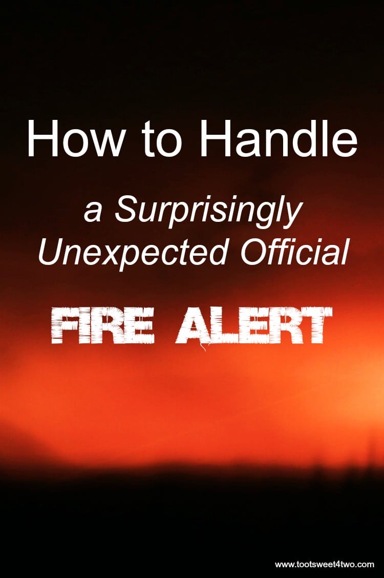 Official Fire Alert - cover