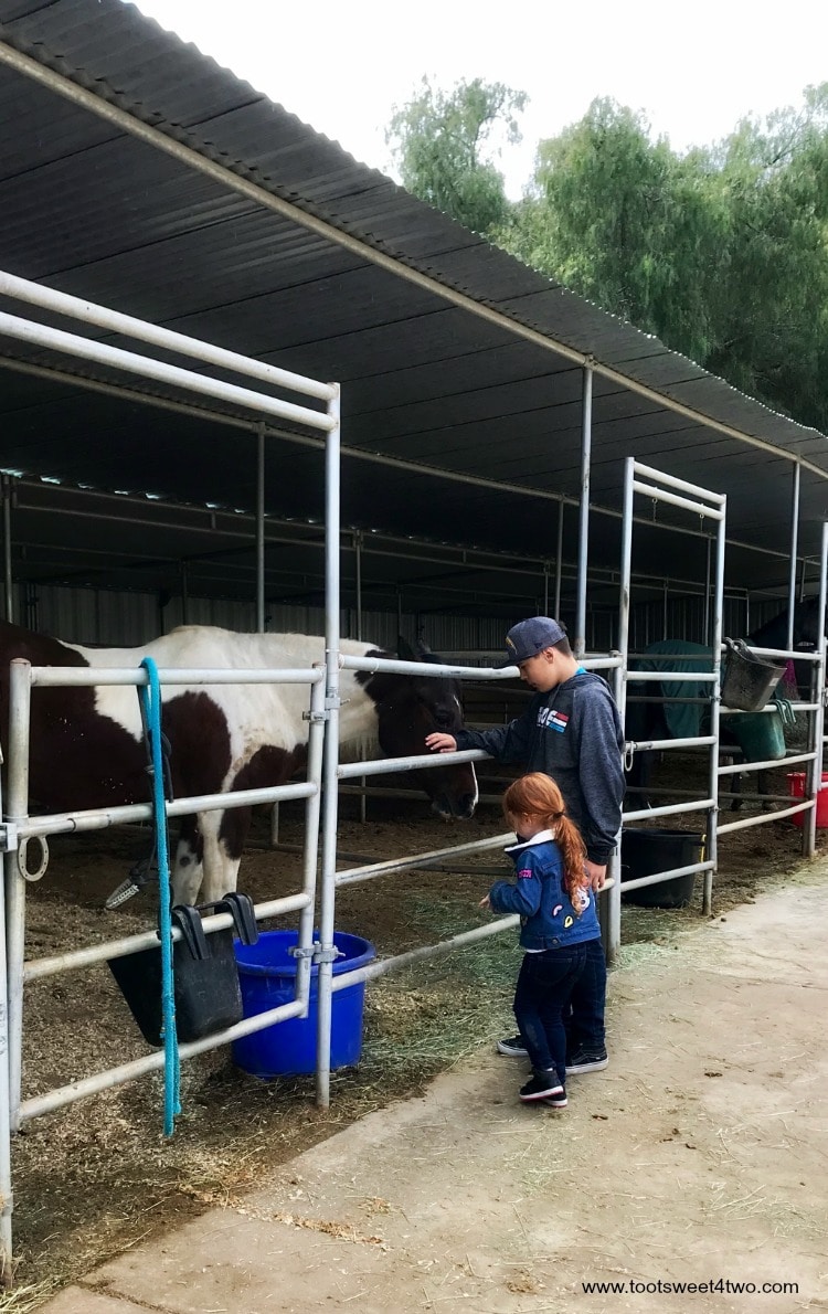 Belle and Andrew visit a horse at The Ranch at Bandy Canyon