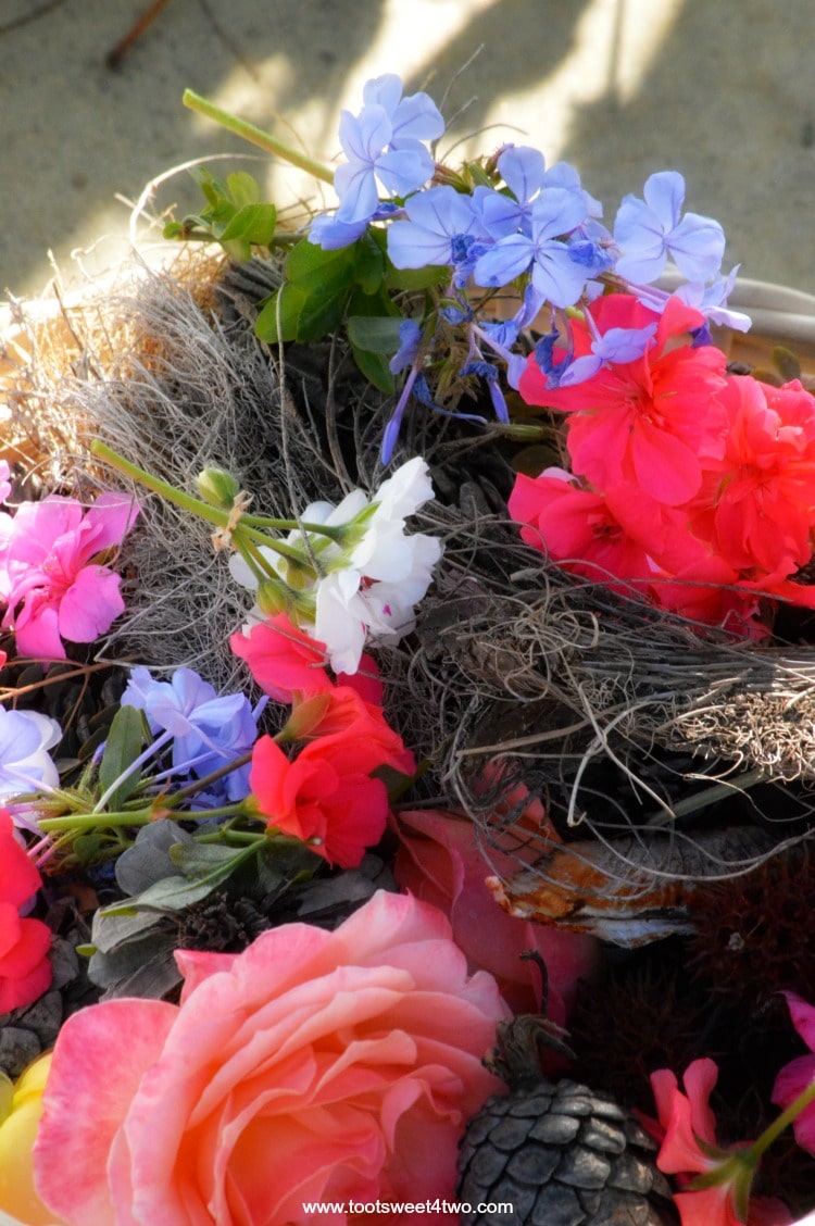 Flowers, pinecones, bird's nest jumble