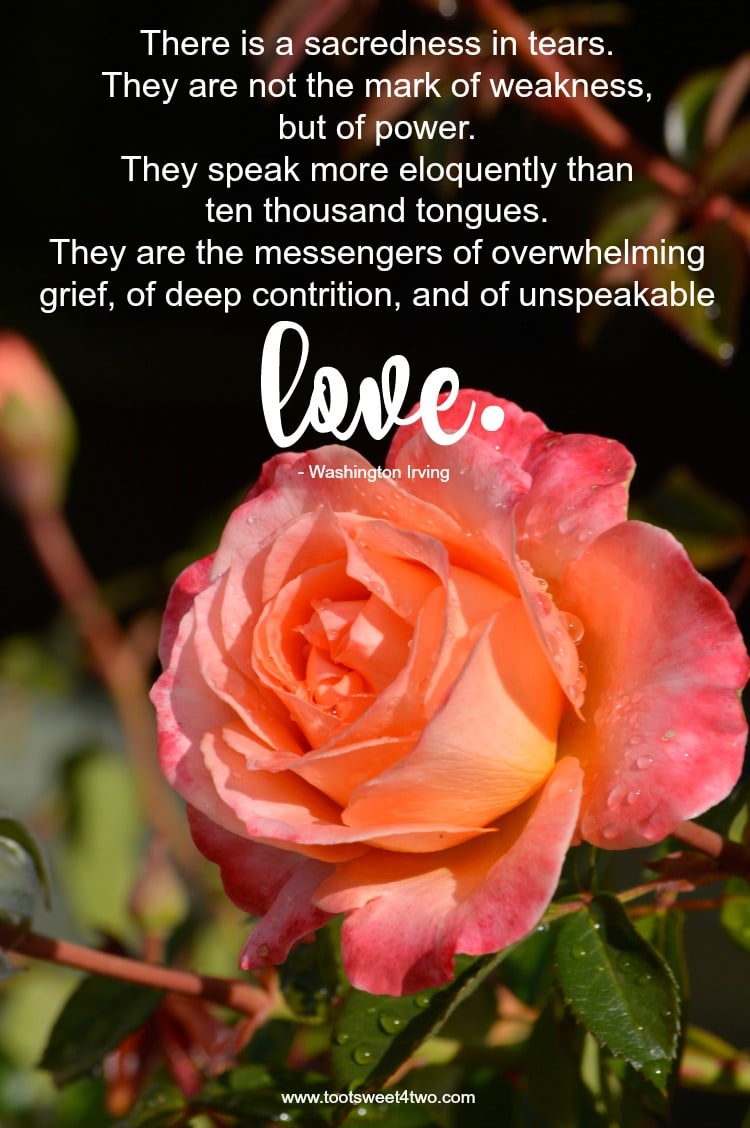 Grief quote by Washington Irving