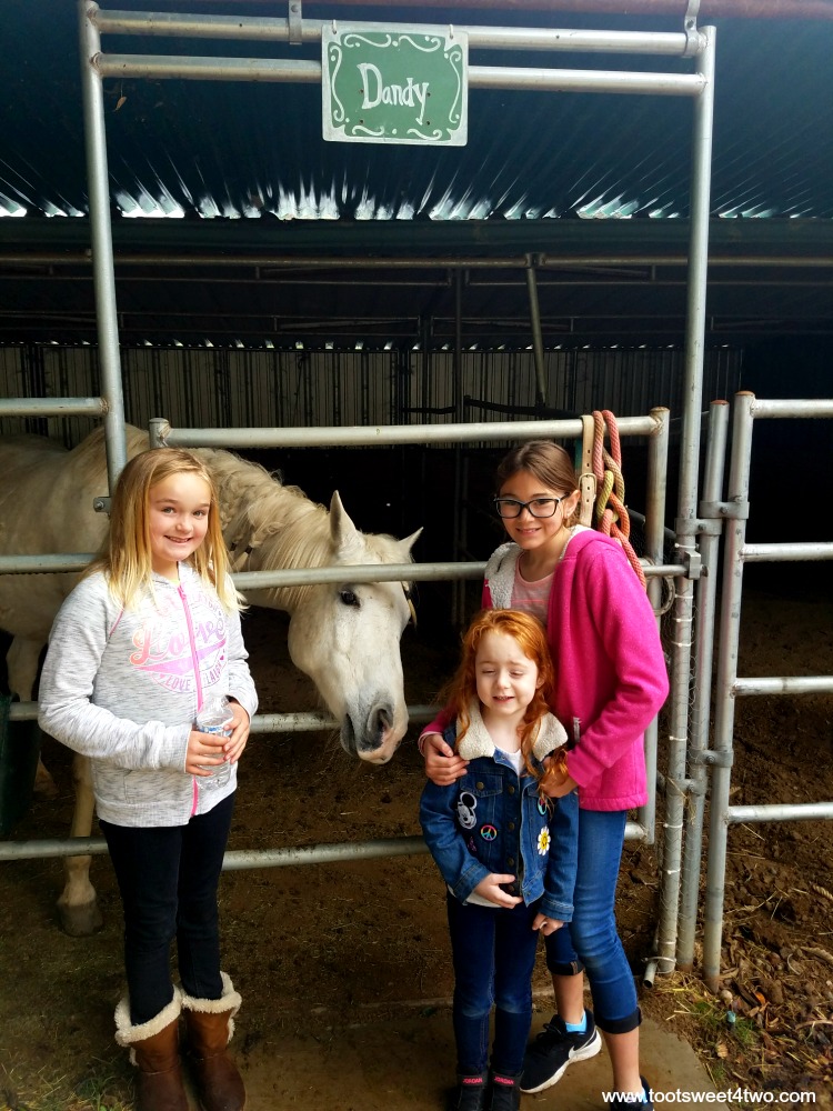 Parker, Belle and Hayden with Dandy the horse at The Ranch at Bandy Canyon