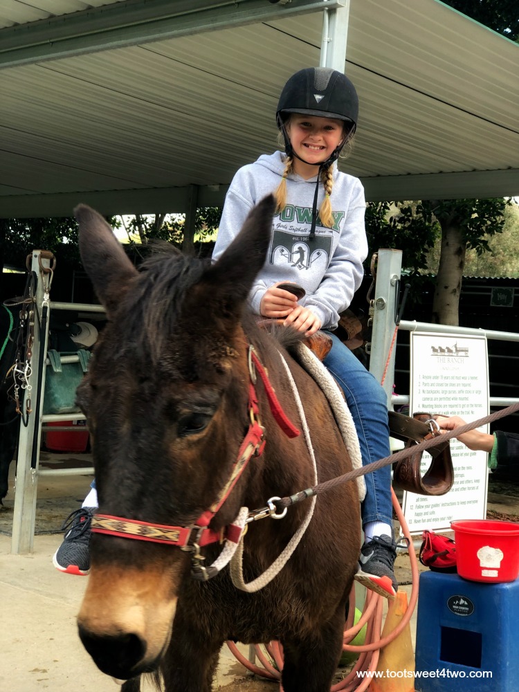 Payton riding horse at The Ranch at Bandy Canyon