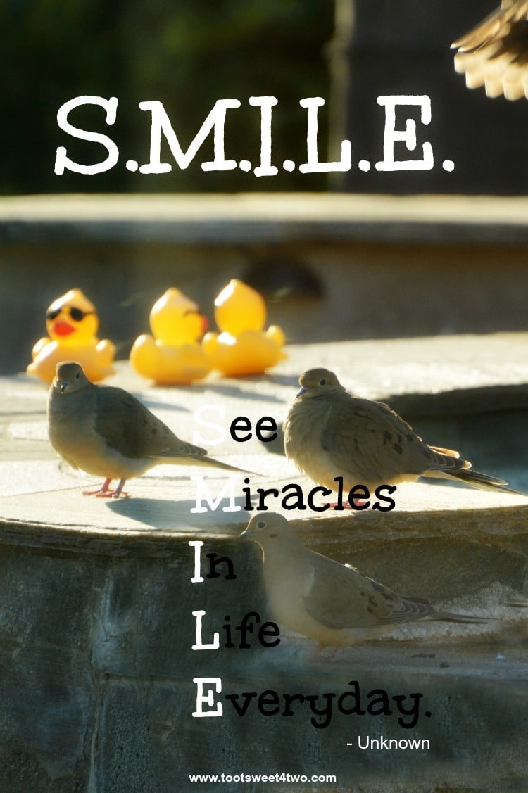 Smile Miracles quote - author unknown
