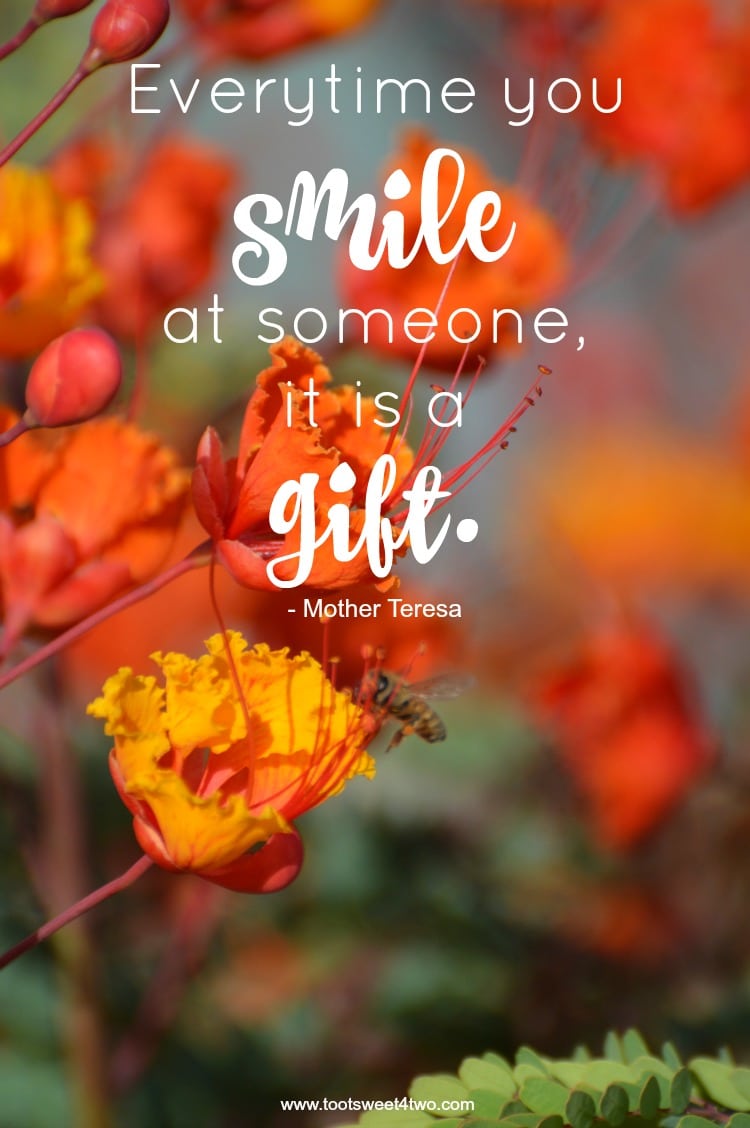 Smile is a Gift quote by Mother Teresa