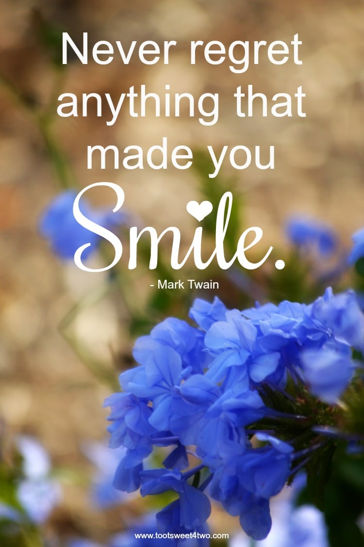Never regret anything that made you smile - quote by Mark Twain
