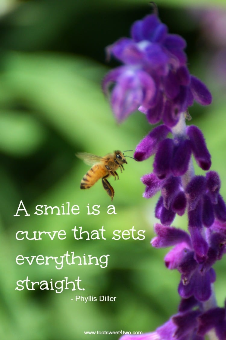 Smile is a curve quote by Phyllis Diller