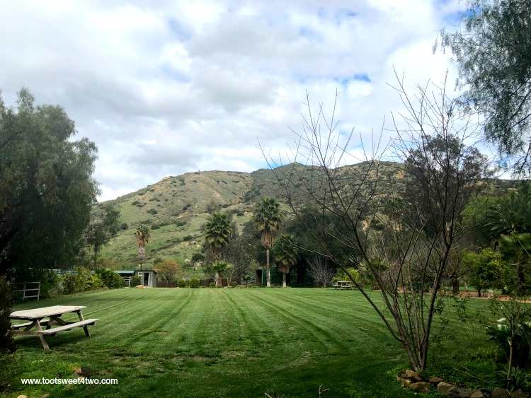 The manicured lawn at The Ranch at Bandy Canyon