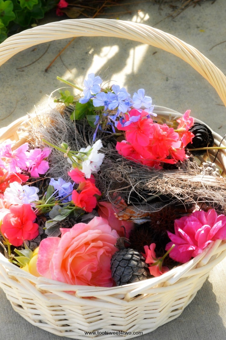 Wicker basket full of pinecones, roses, and bird's nest
