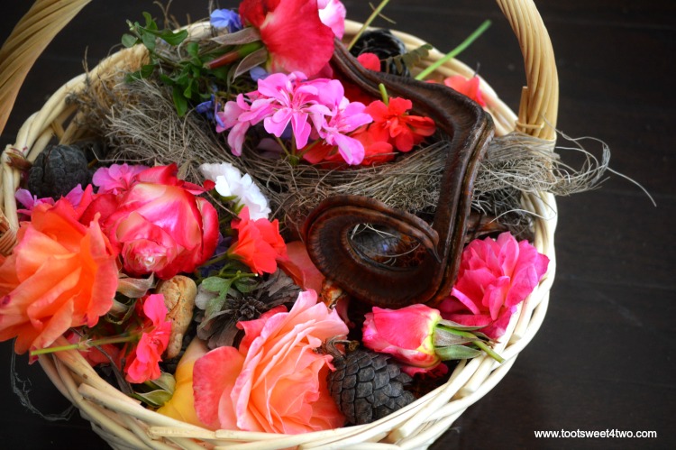 Wicker basket of pinecones, roses, seedpods and bird's nest