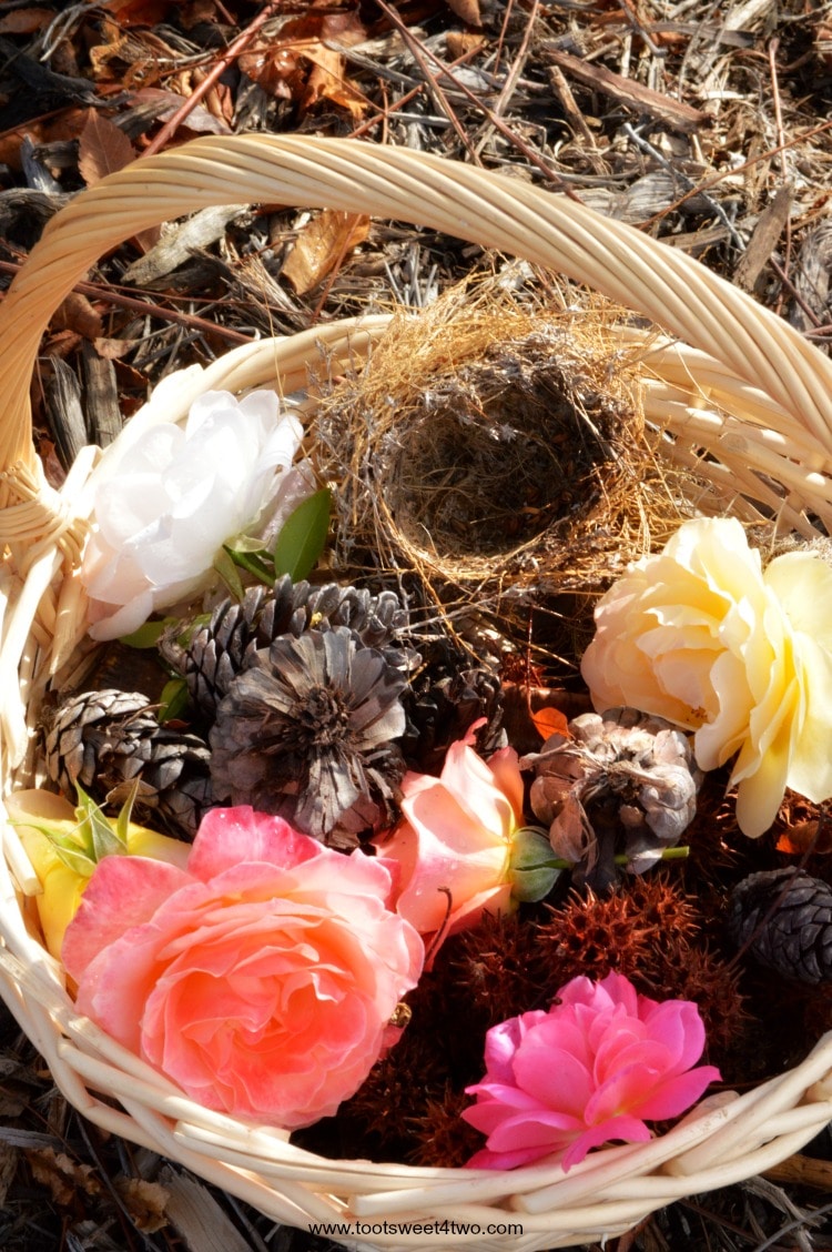 Wicker basket with pinecones, roses and bird's nest