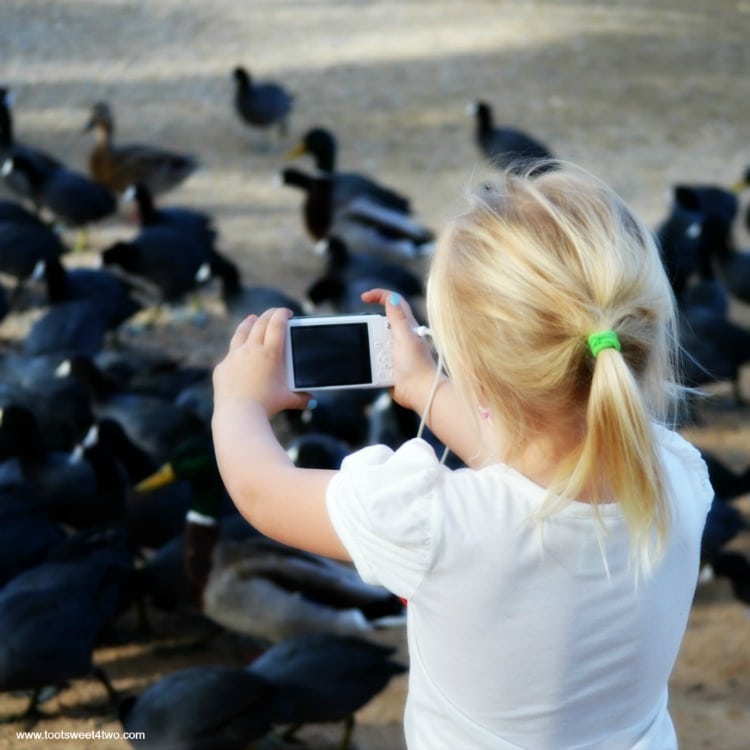 Parker photographing Coots